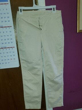 GAP Men's Light Tan Chino Pants